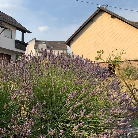 Feeling Trierweiler *