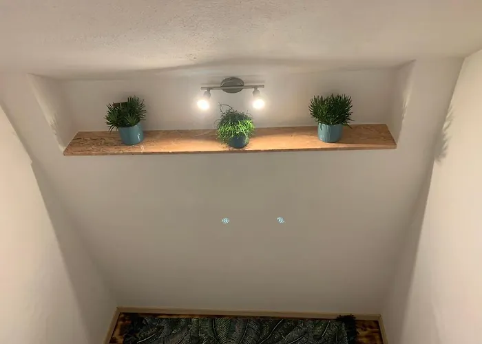 Lejlighed Feeling Trierweiler